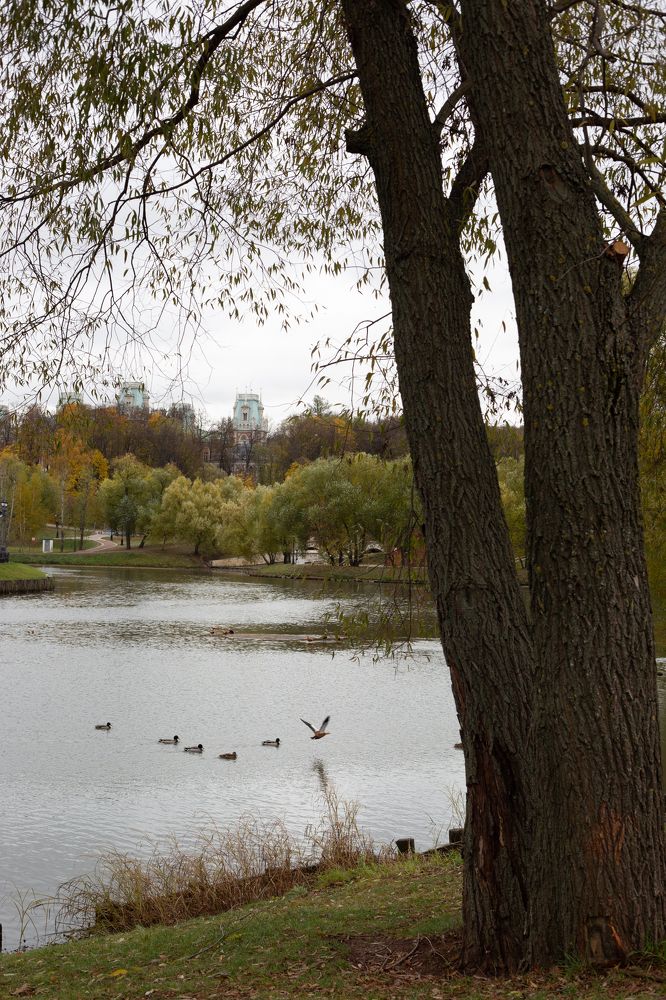 Photograph by Nadezhda Bakina