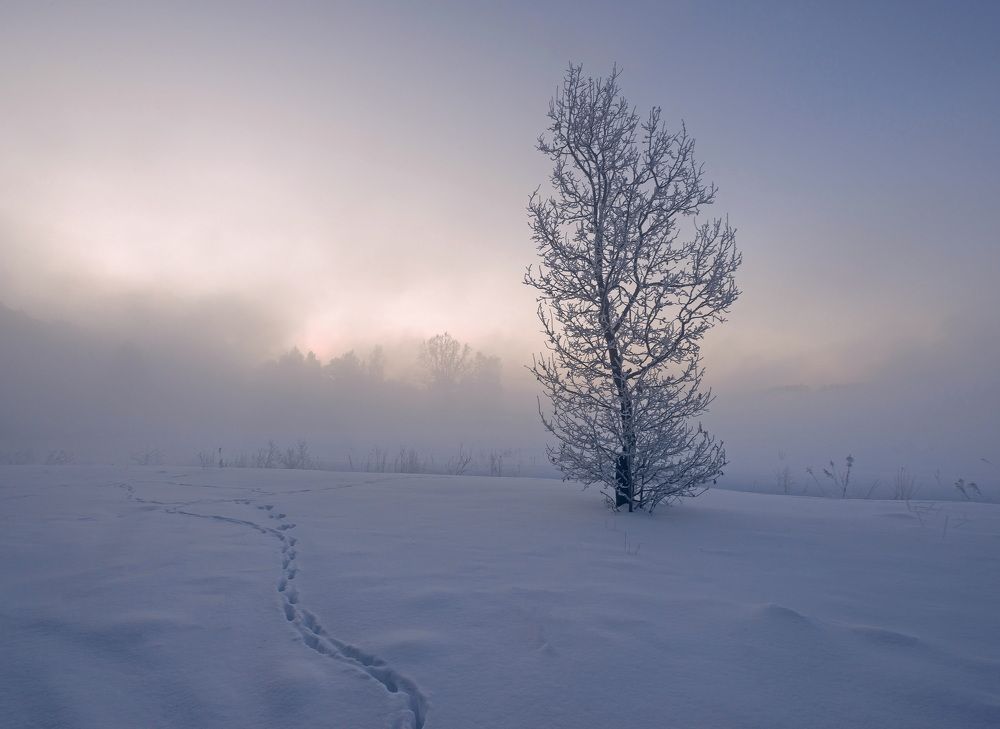 Photograph by Александр Гвоздь