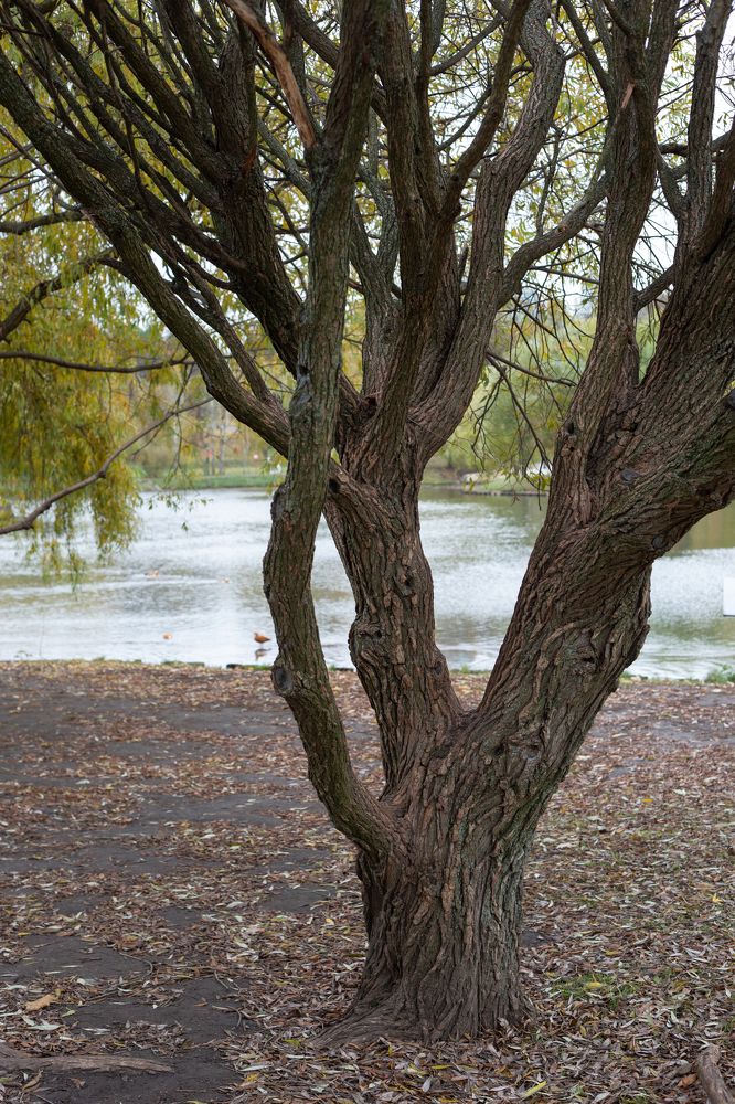 Photograph by Nadezhda Bakina