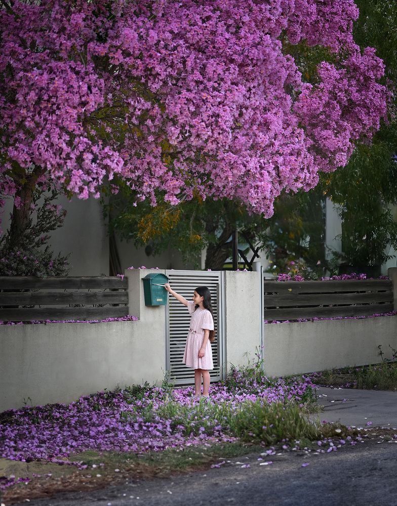 Photograph by Oksana Denysenko