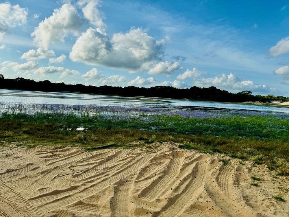 Photograph by Bimali Fernando