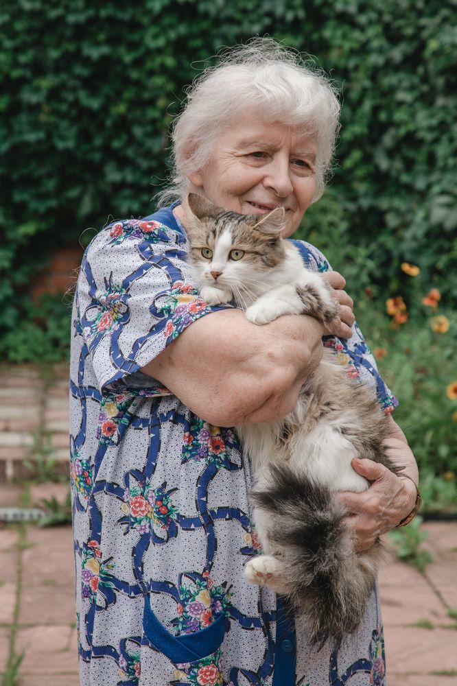 Фотография автора Анна Петина