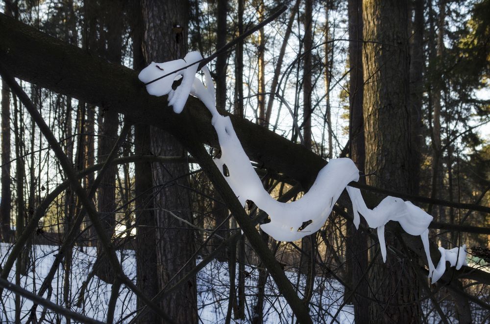 Photograph by Роман Пацкевич