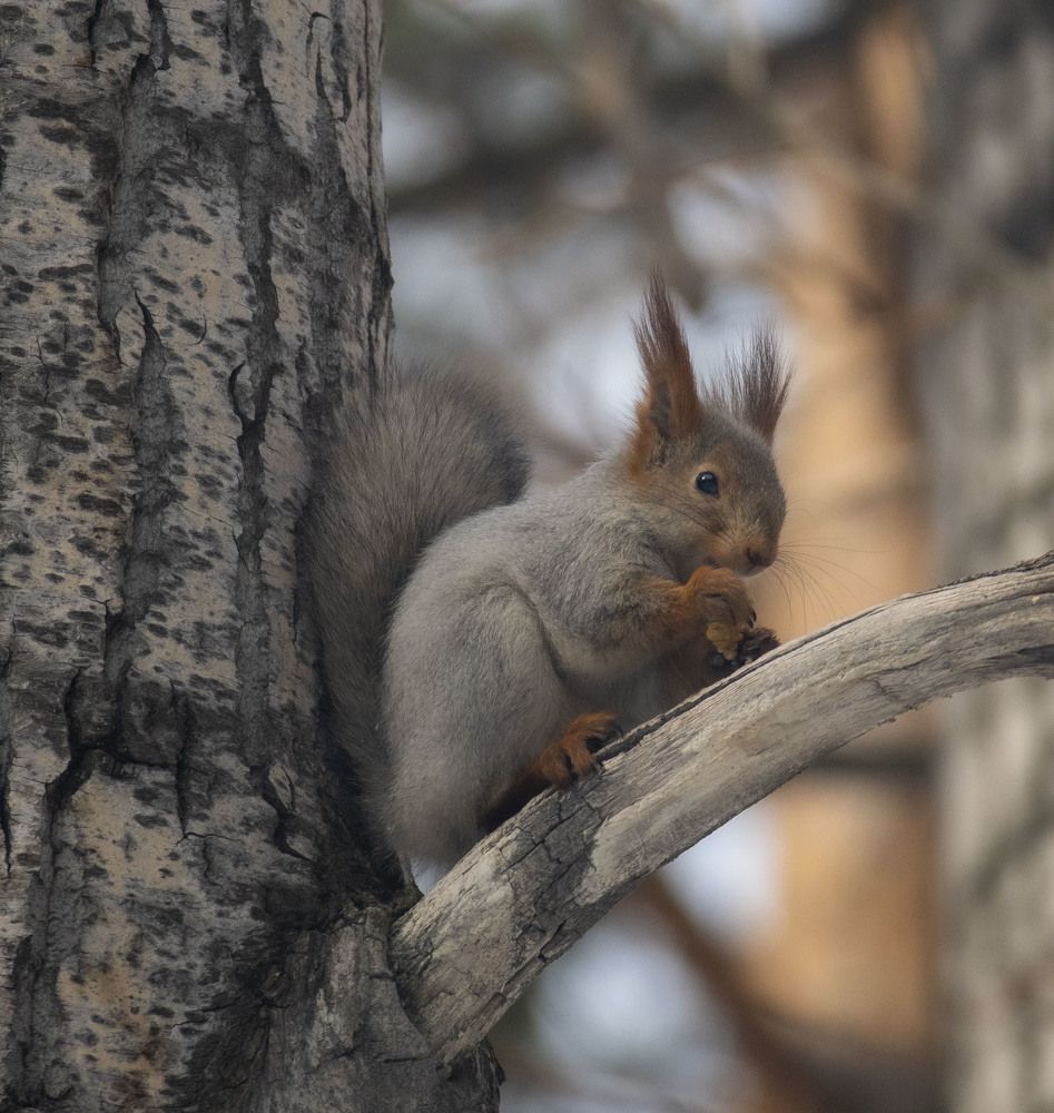 Photograph by Вадим Юрьевич