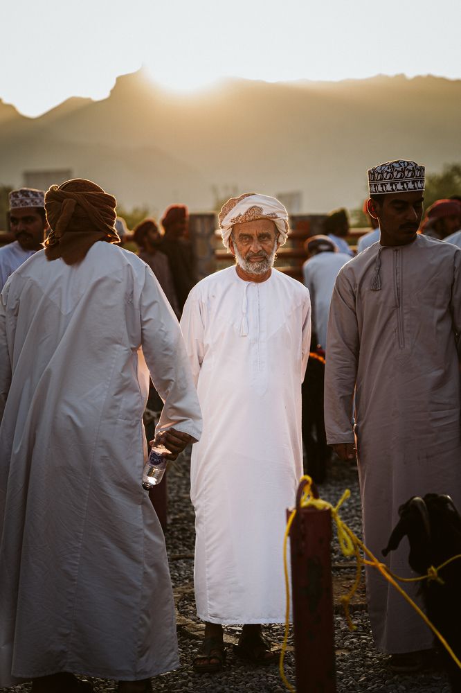 Фотография автора Omar Shebl