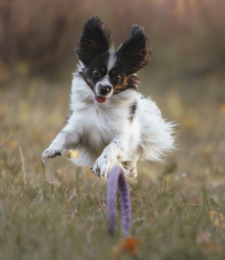 Photograph by Мария Клещенко