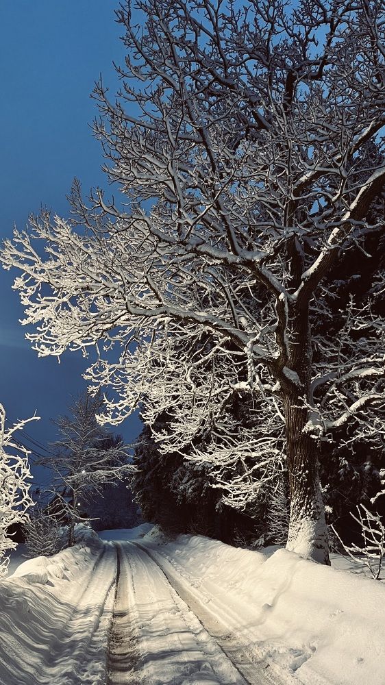 Photograph by Светлана Родионова