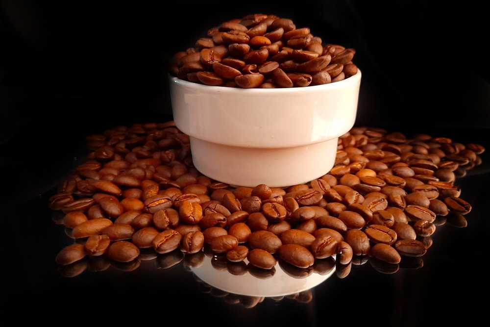 Photograph by Patrícia cruz