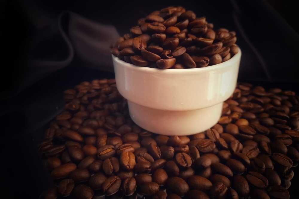 Photograph by Patrícia cruz