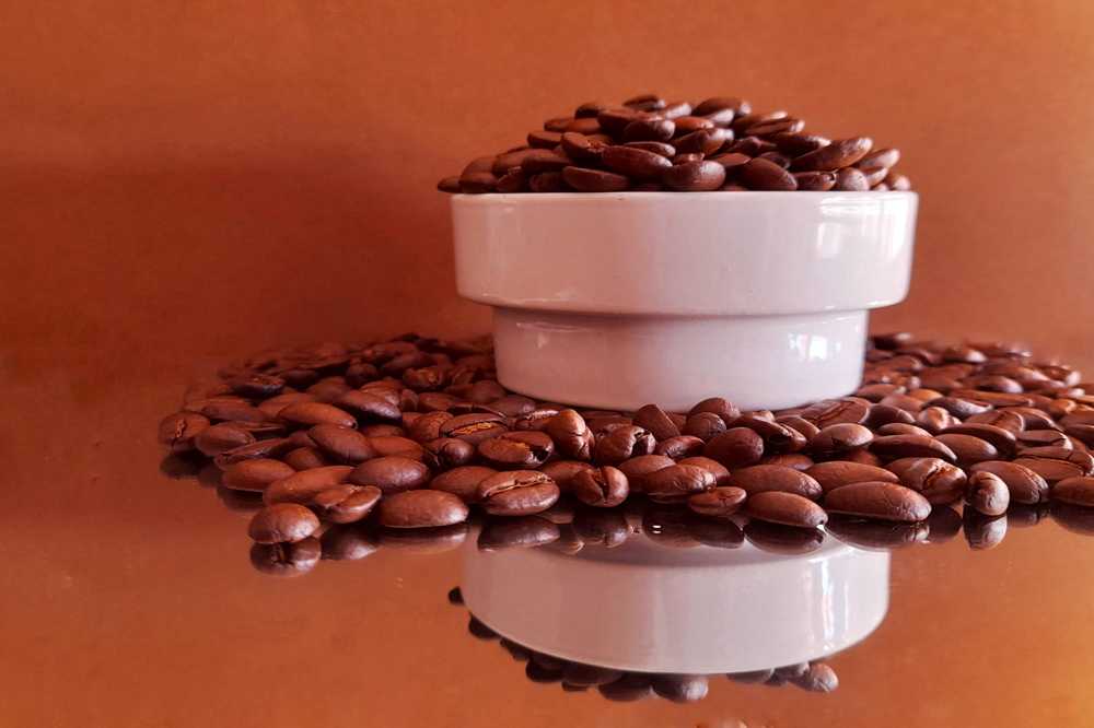 Photograph by Patrícia cruz