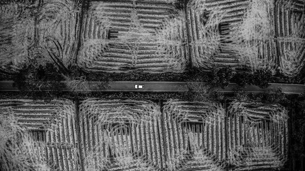 Photograph by Mehesuru Fernando