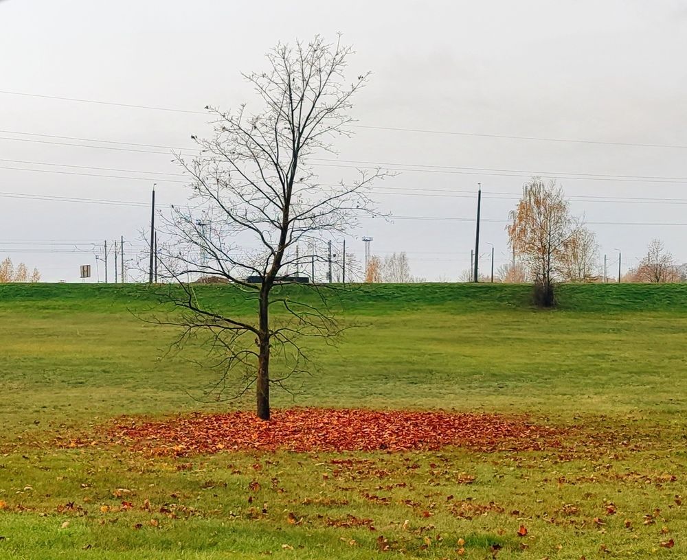 Photograph by Денис Володин