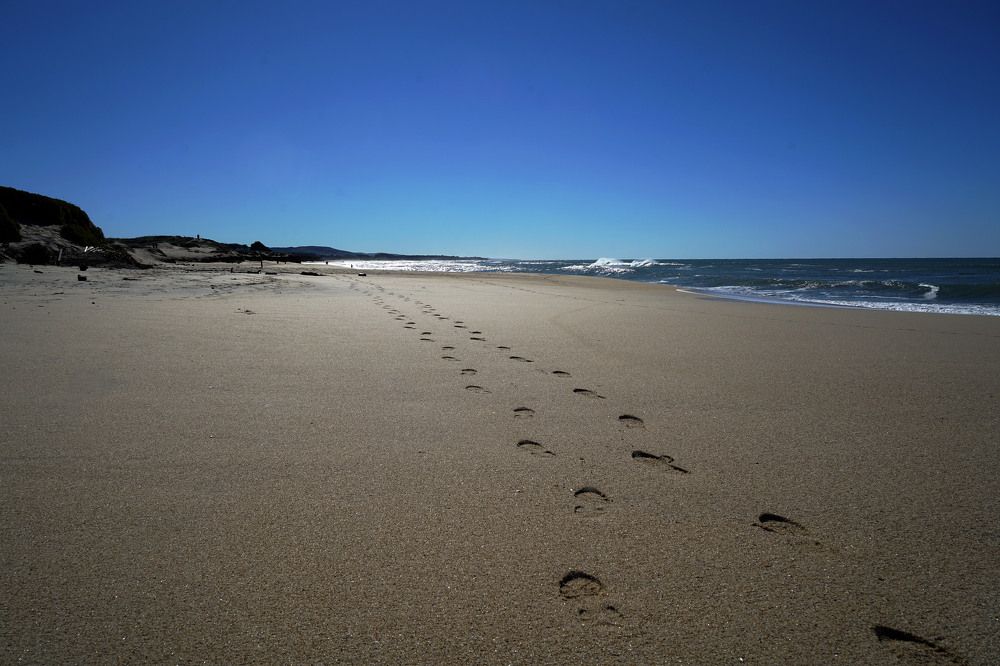 Photograph by Владимир Гречанинов