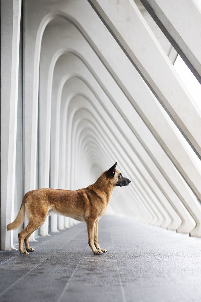 Photograph by Elke Braet