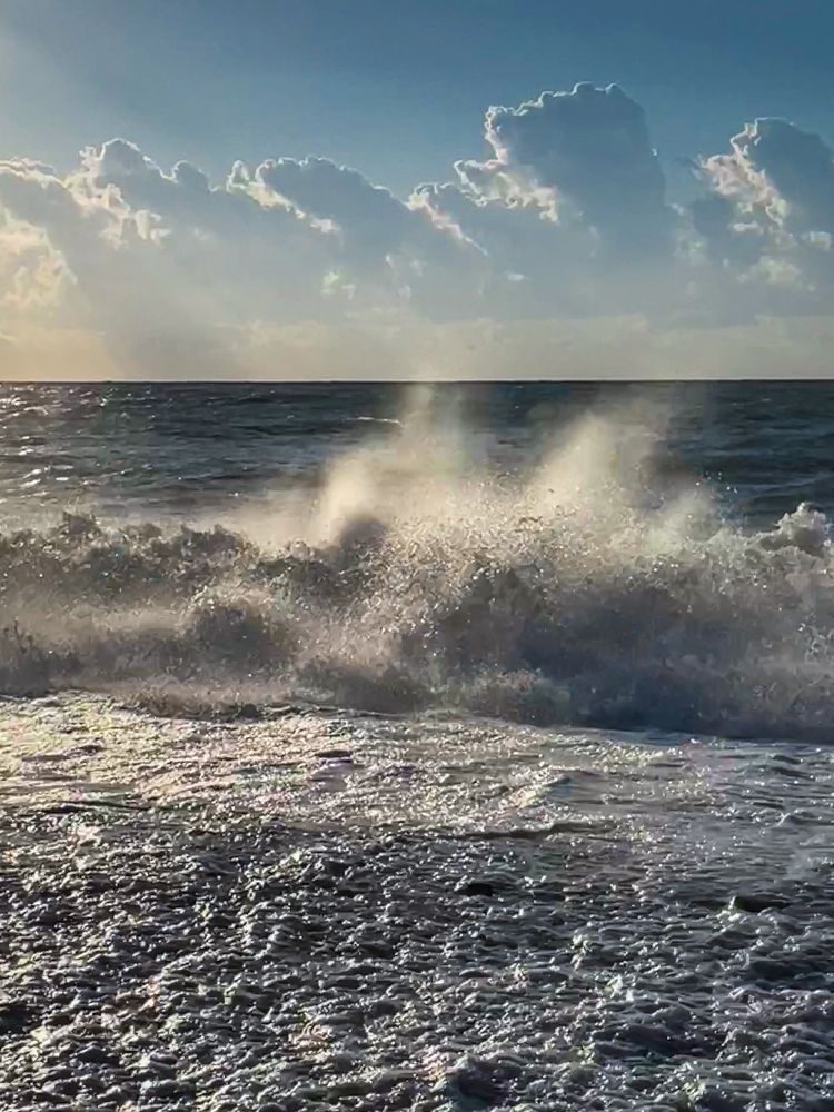 Фотография автора Ольга Каминская