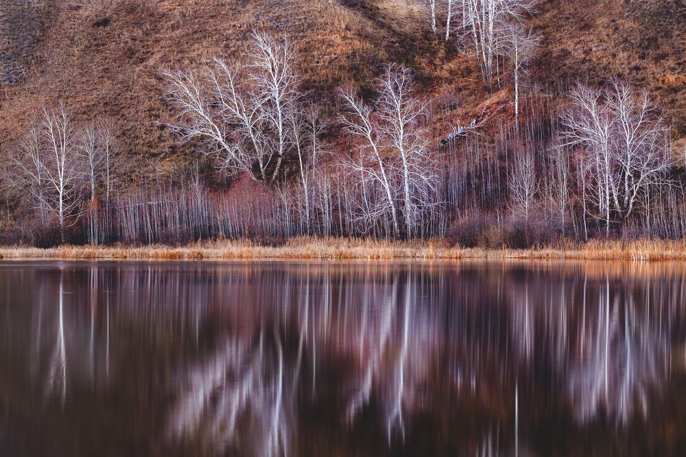 Photograph by Павел Гавриков