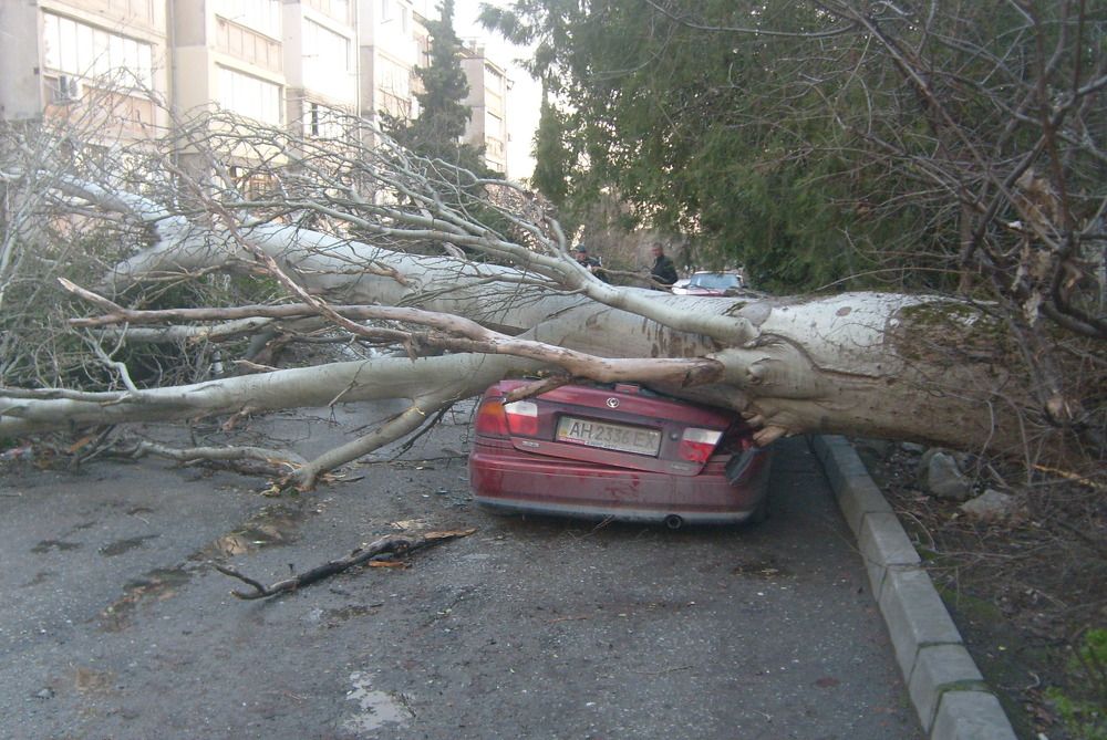 Photograph by Антон