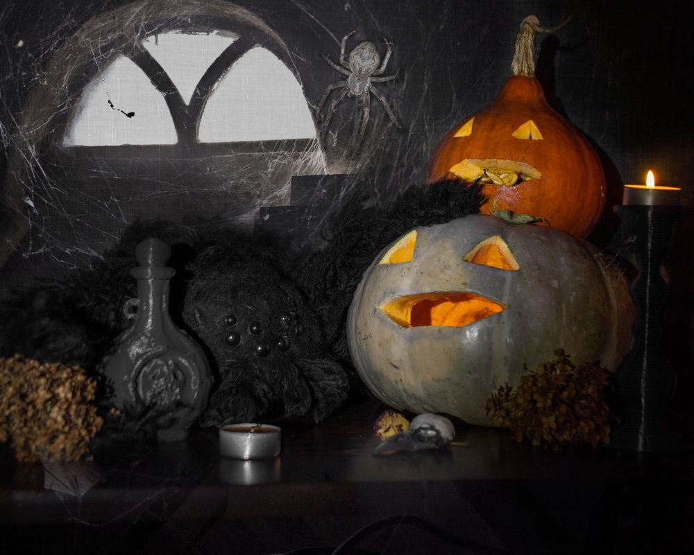 Photograph by Людмила Прибылова