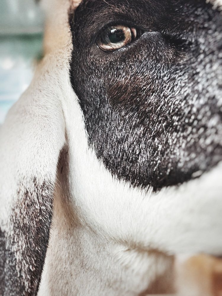 Photograph by Анна Далингер