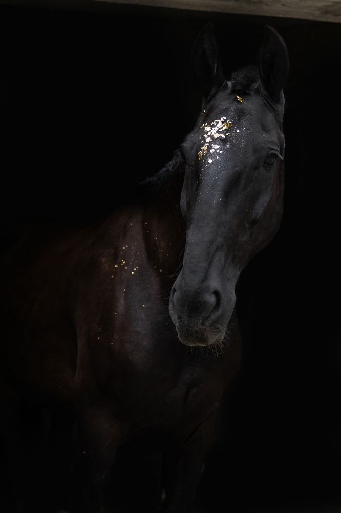 Photograph by Виктория Гаврикова