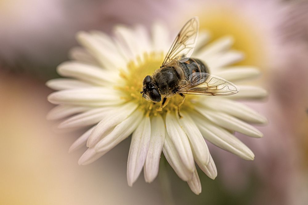 Photograph by Басыров Валерий