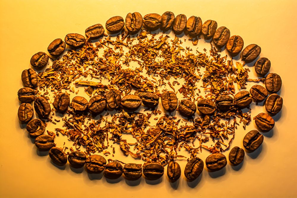 Photograph by Муза Латинская