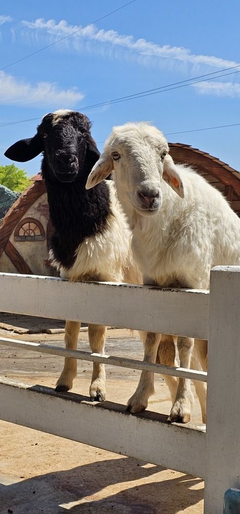 Photograph by Анна Далингер