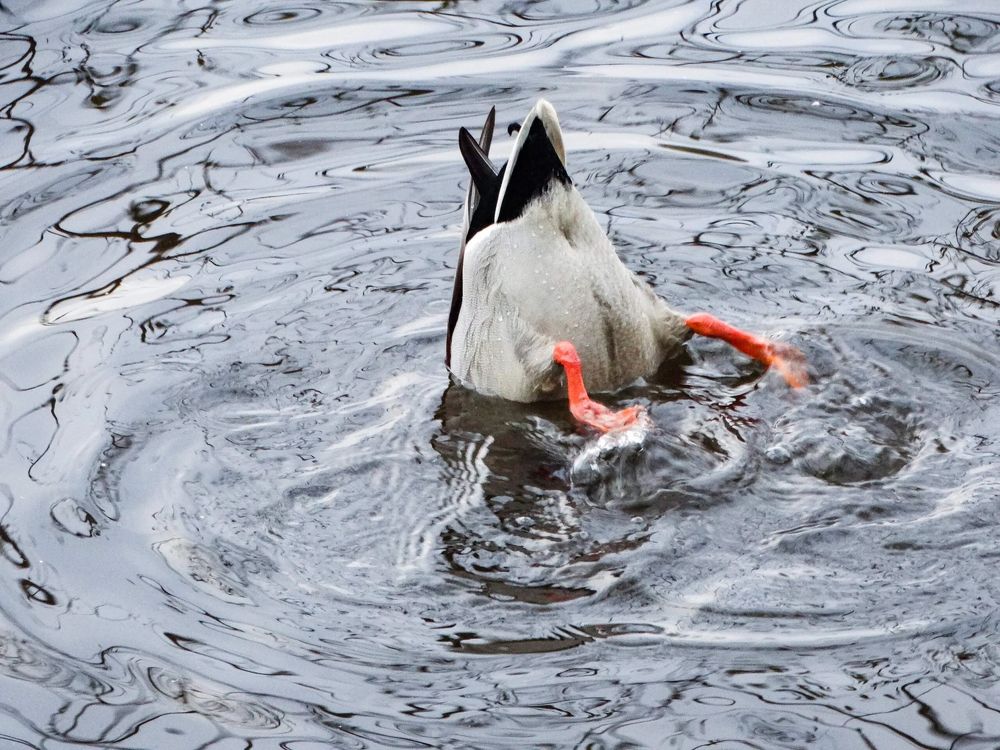 Photograph by Анжелика Трошина