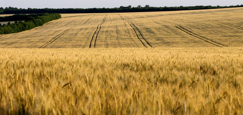 Photograph by Унку Юрий