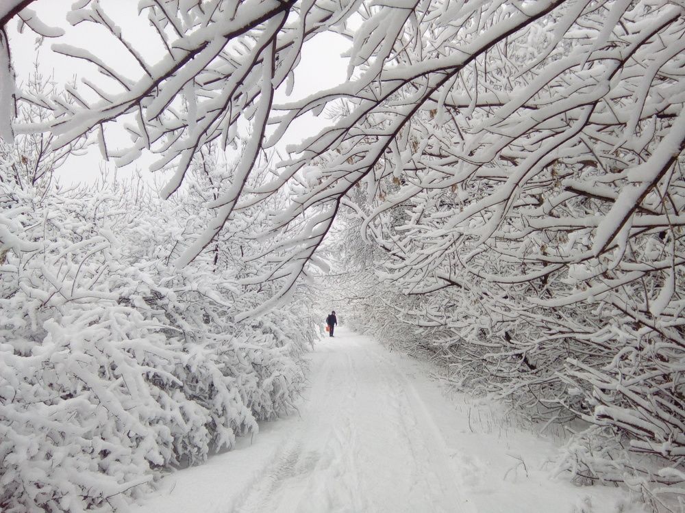 Photograph by Дарина Макарова