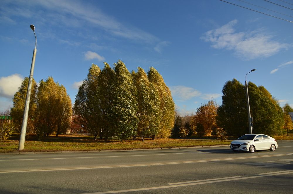 Фотография автора Клавдия Васильева