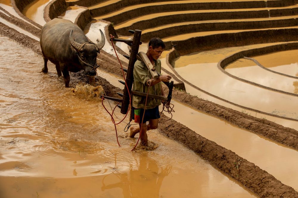 Photograph by Nguyen Thi Chieu Xuan