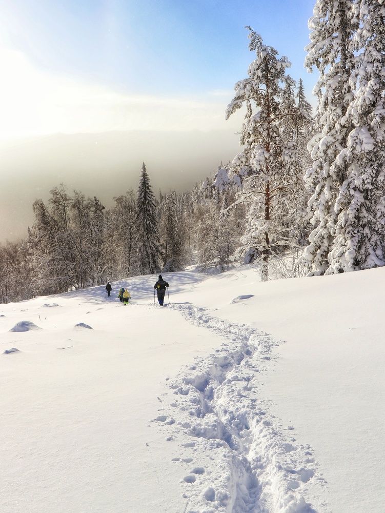 Photograph by Анатолий Нифантов