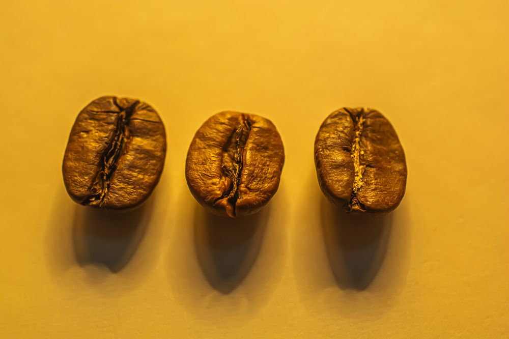 Photograph by Муза Латинская