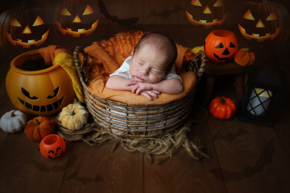 Photograph by LIAT GENDLER