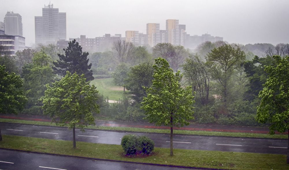 Фотография автора Александр