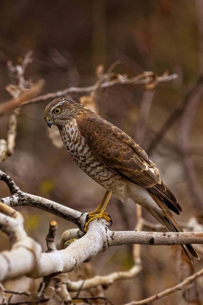 Photograph by Валерий Черняк