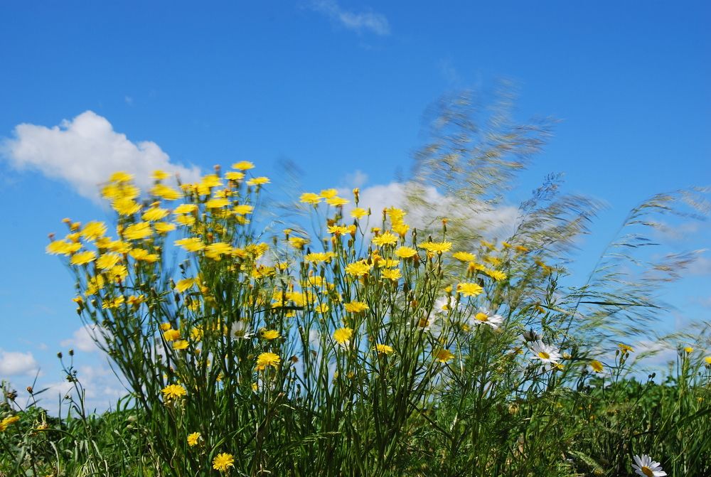 Photograph by Юрий Яковлев