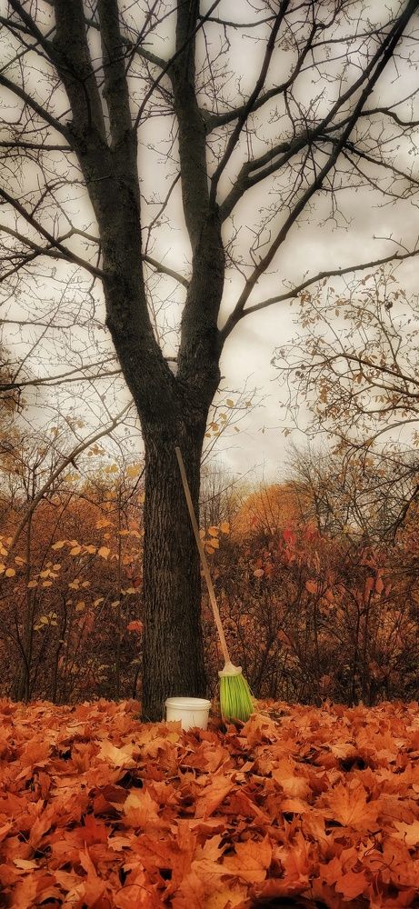 Фотография автора Максим Светличный