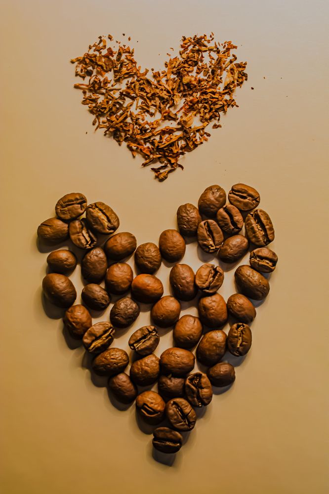 Photograph by Муза Латинская