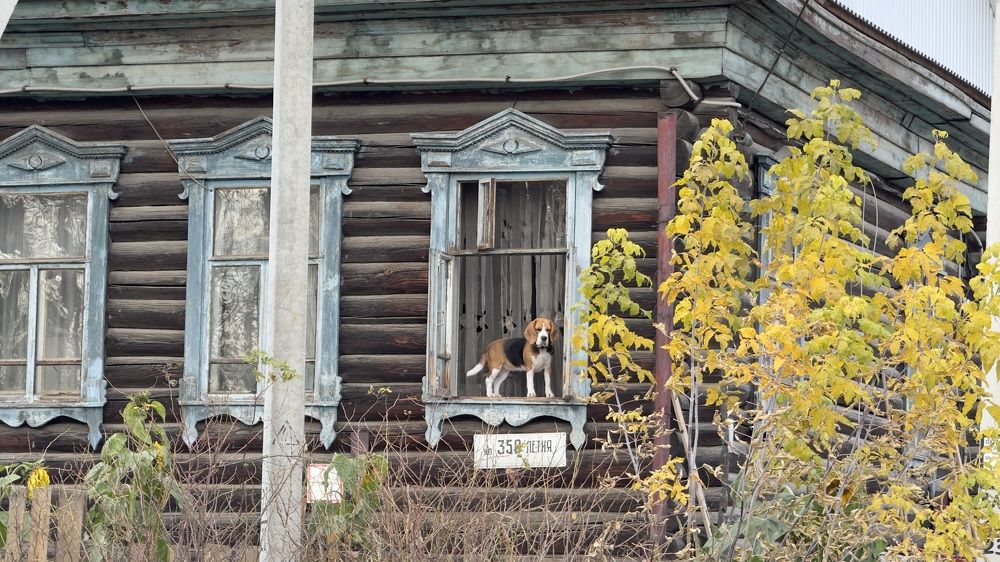 Photograph by Дмитрий Бобровский