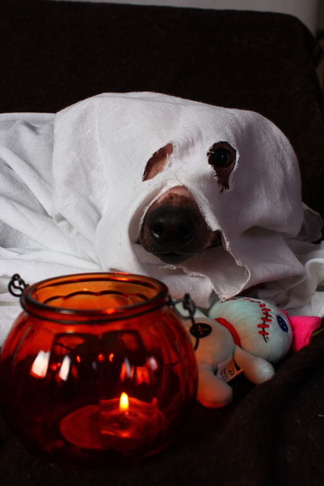 Photograph by Валерия Николаева