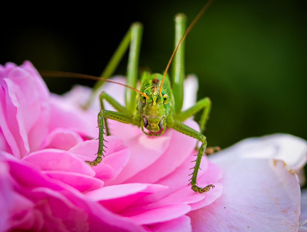 Photograph by Eva Wiedemann