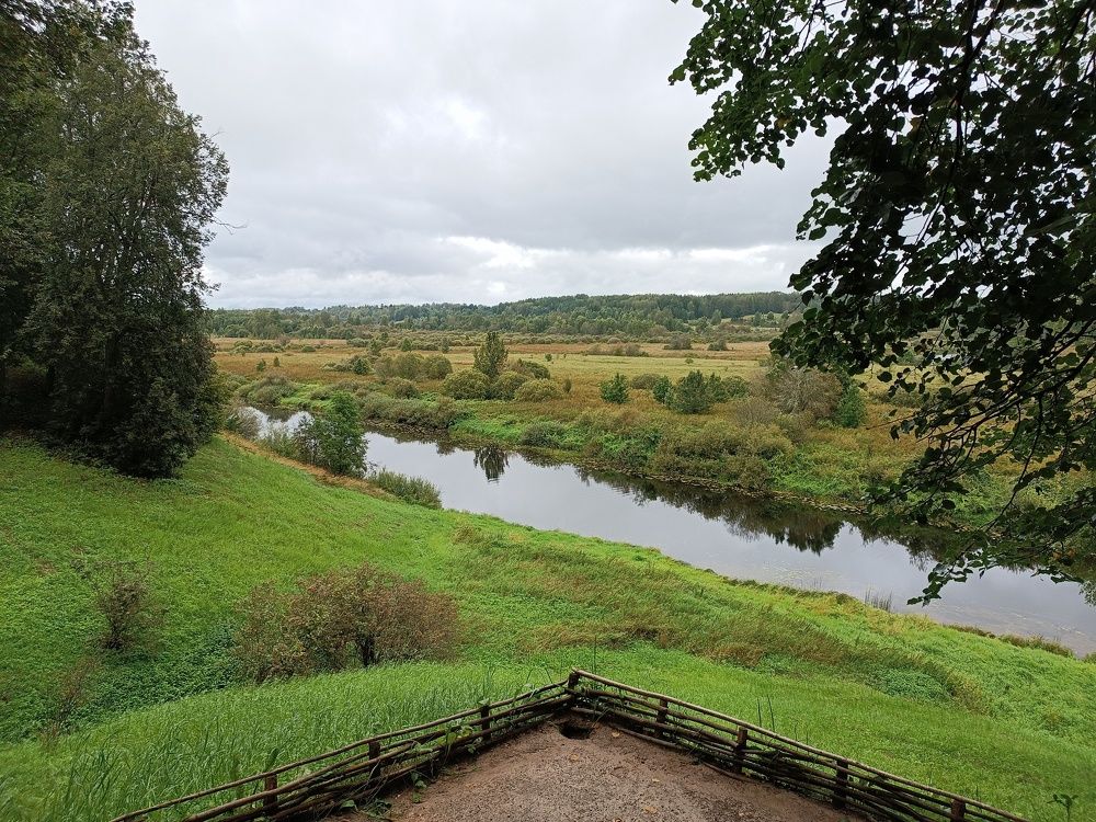 Фотография автора Дарья Петровская