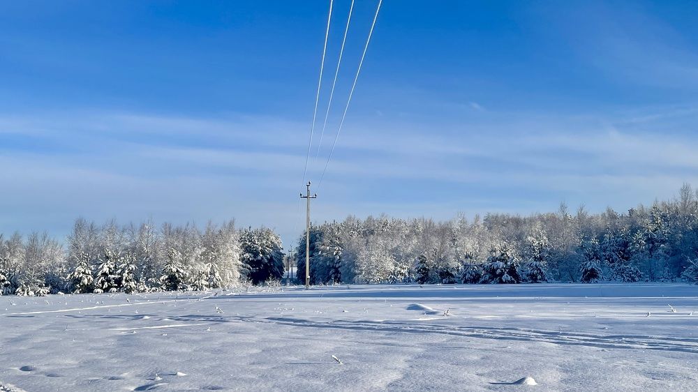 Photograph by Елизавета Большакова