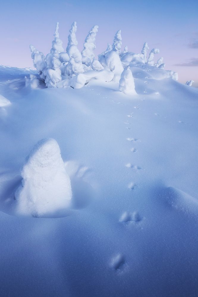 Photograph by Гарифуллин Сергей