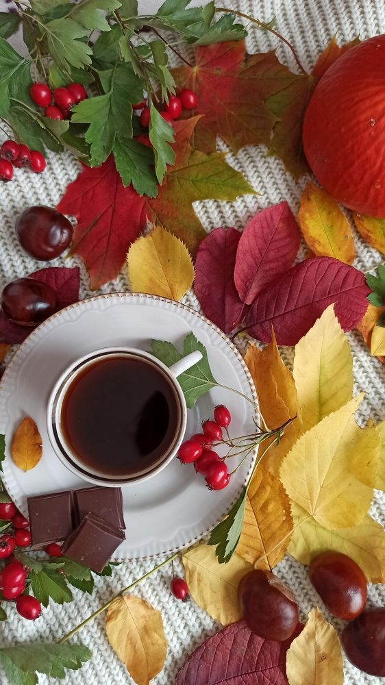 Photograph by Людмила Щуцкая