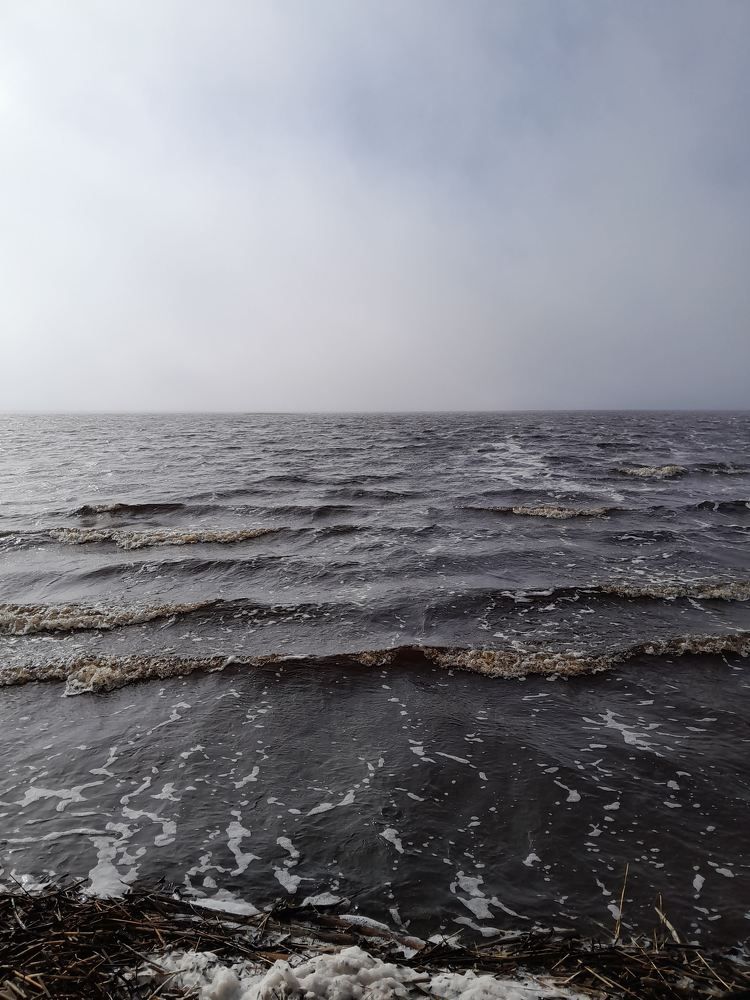 Photograph by Виталий