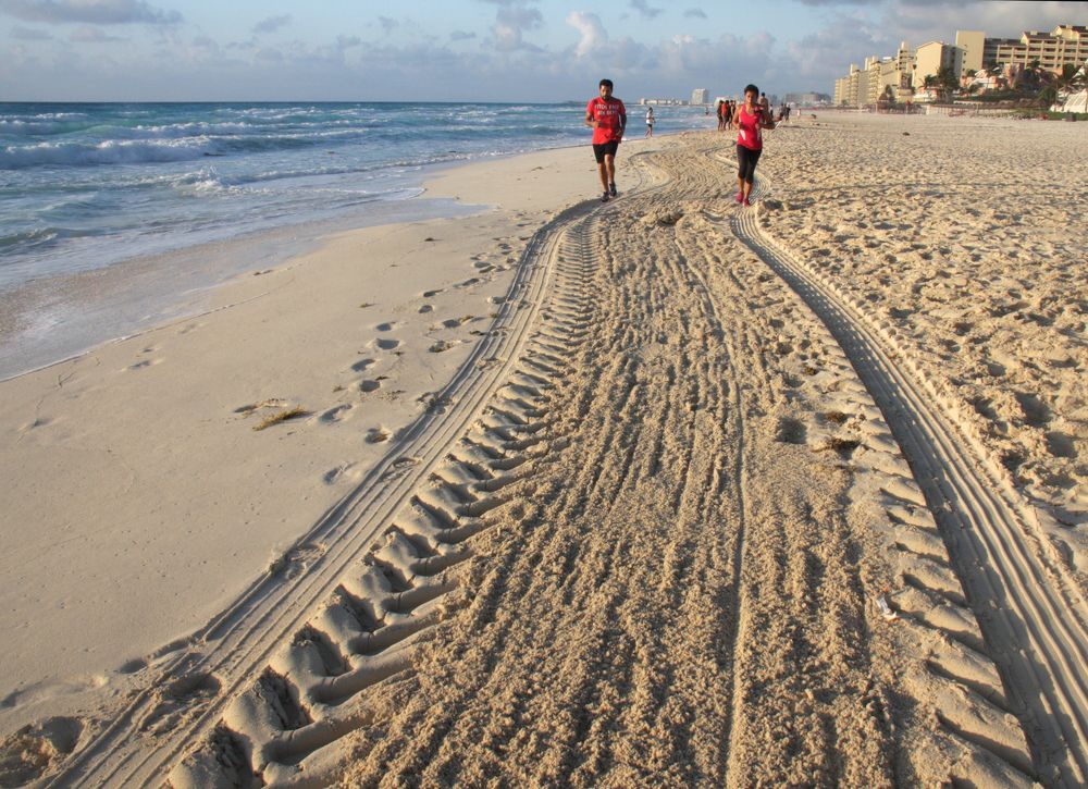 Photograph by Ионова Татьяна