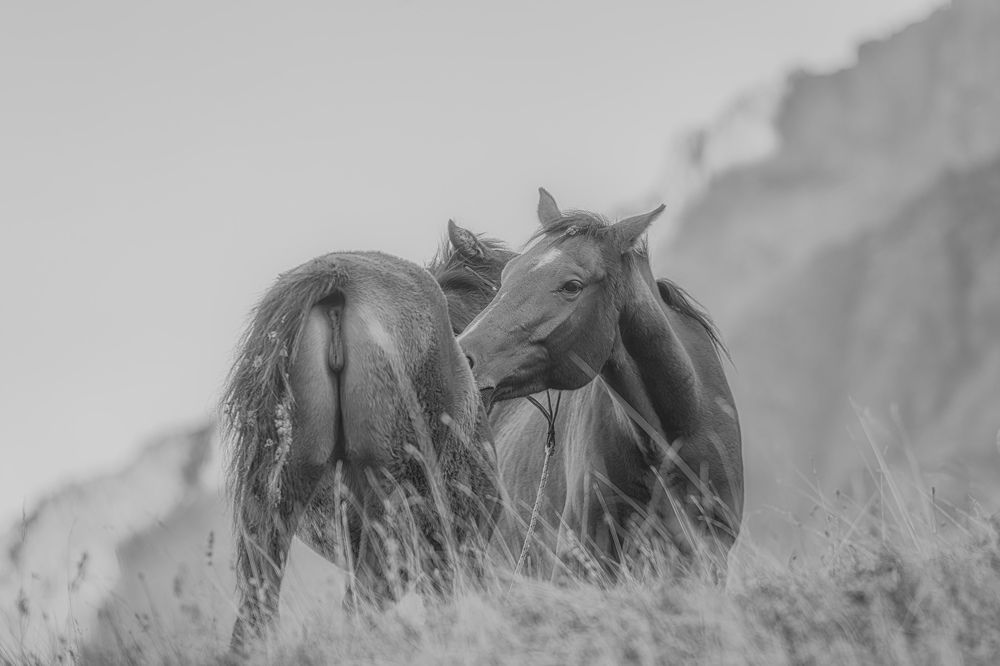 Photograph by Лазарев Сергей